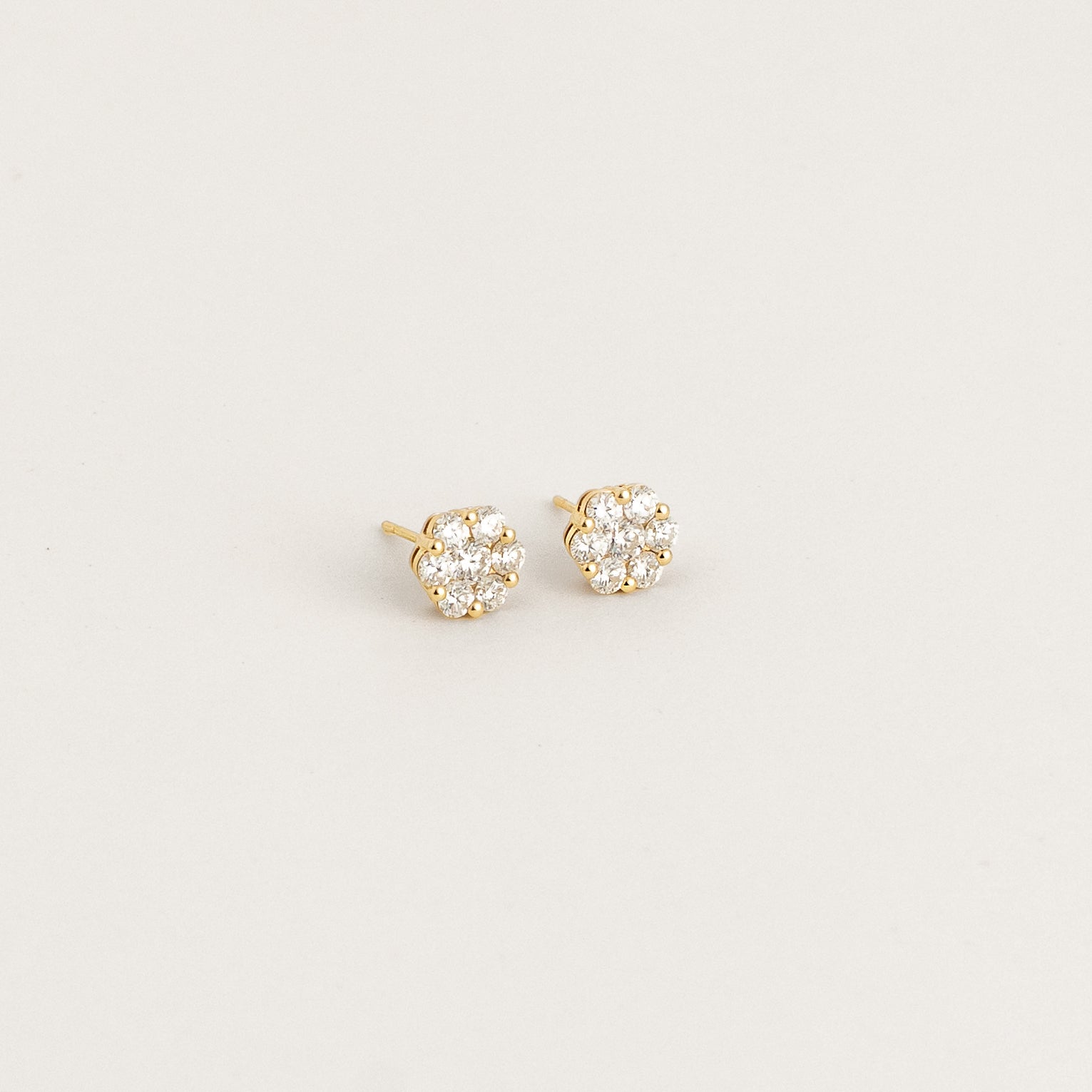 Rose Setting Earrings