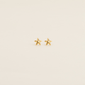 STARFISH EARRINGS